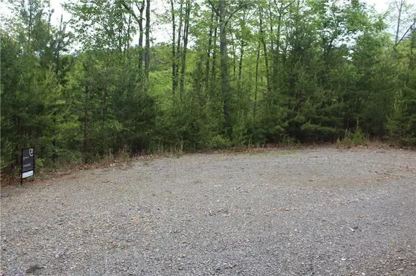 Ellijay, GA 30536,Lot 5 Owl Mountain TRL