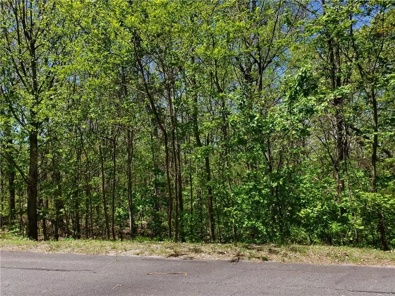 Lot 10 Cloudland DR, Ellijay, GA 30540