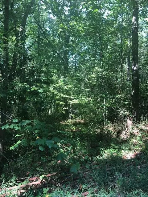 Hiram, GA 30141,969 Garmon RD