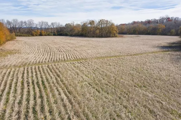 Ranger, GA 30734,0 White Graves RD