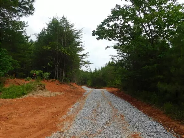 Dahlonega, GA 30533,15 AC Larmon Forks