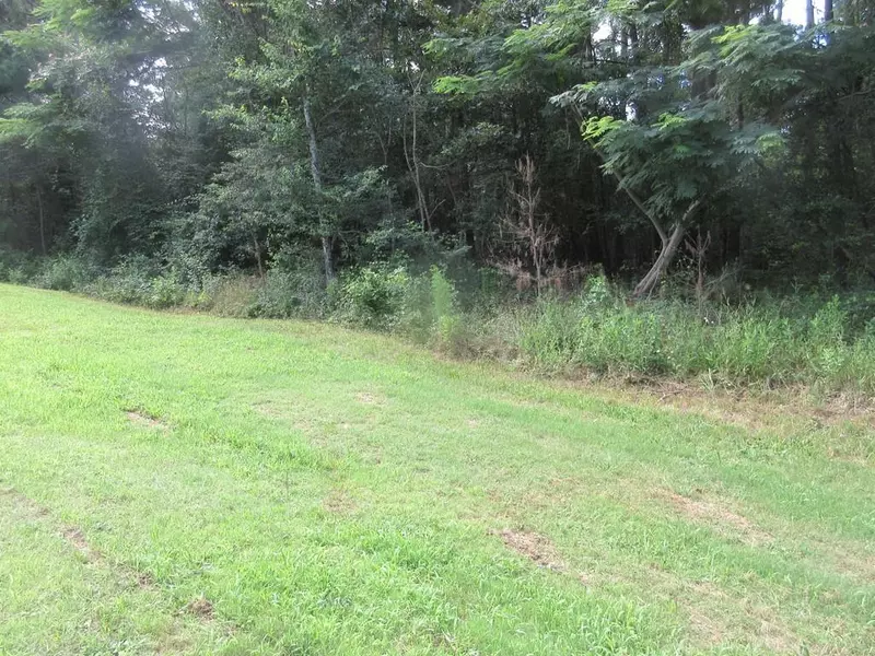 0 Ozora Church, Loganville, GA 30052