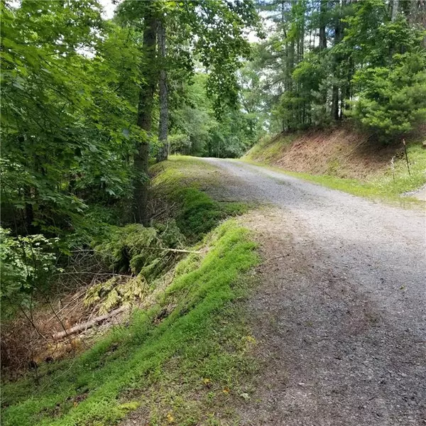 Ellijay, GA 30540,0 Parnell