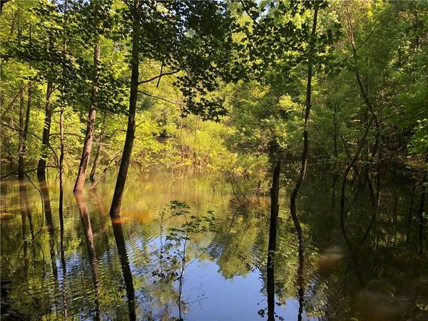 1079 Damascus RD, Ranger, GA 30734