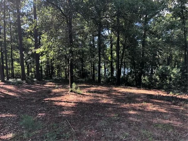 Hartwell, GA 30643,0 Lightwood RD