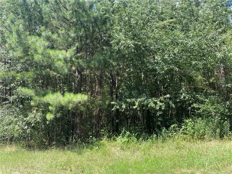 12 Vinnings LN SW, Cartersville, GA 30120