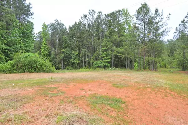 Buchanan, GA 30113,484 Wesley Camp RD