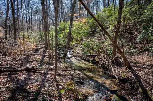 Talking Rock, GA 30175,1 A Serenity Mountain VW