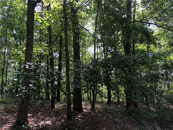 Fairmount, GA 30139,00 Nottingham WAY