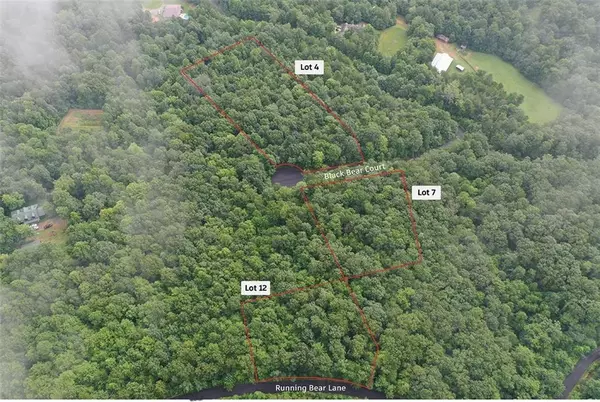 Ellijay, GA 30536,Lt 4 Black Bear CT