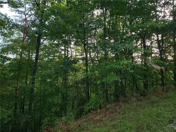 Lot 9 Goble Gap LN, Clayton, GA 30525