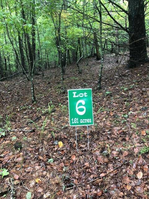 Lot 6 Hunter's Ridge, Morganton, GA 30560