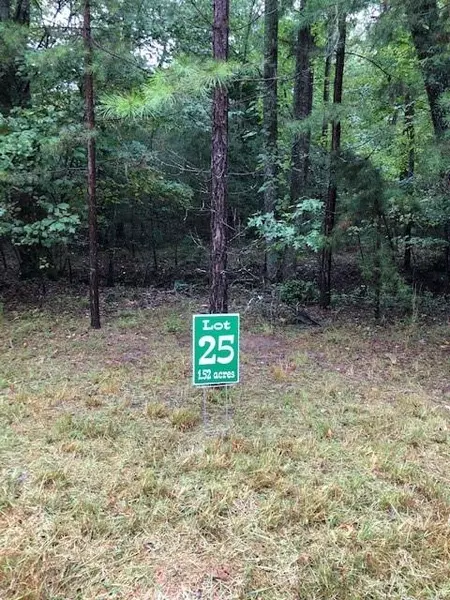 Lot 25 Hunter's Ridge, Morganton, GA 30560