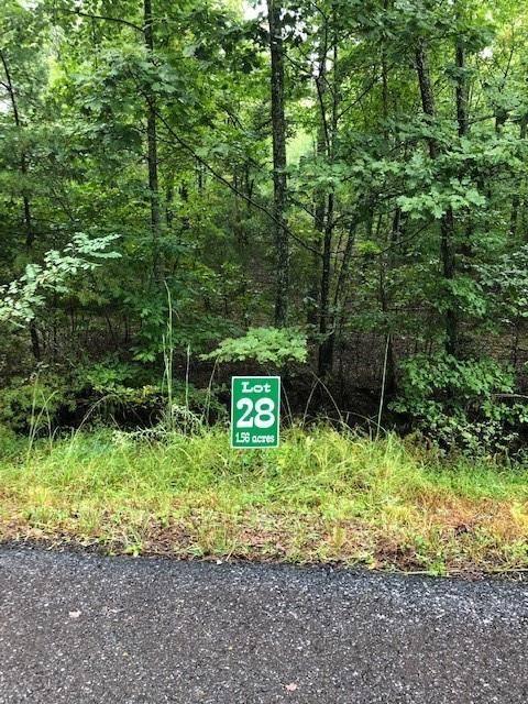 Lot 28 Hunter's Ridge, Morganton, GA 30560