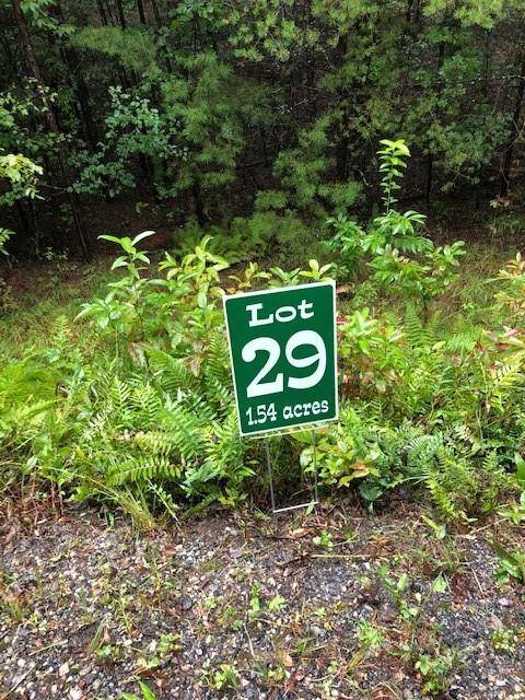 Lot 29 Hunter's Ridge, Morganton, GA 30560