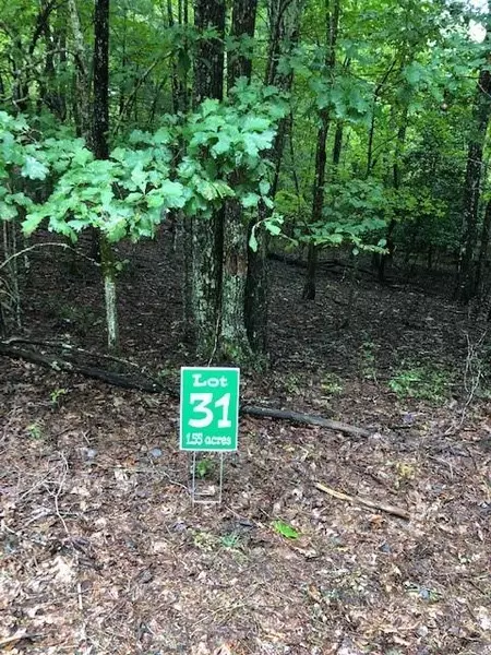 Lot 31 Hunter's Ridge, Morganton, GA 30560