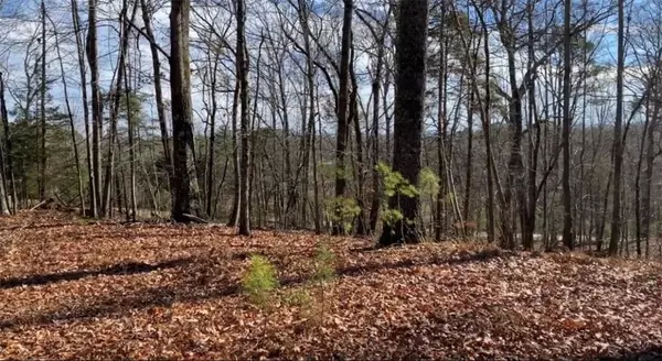 Dawsonville, GA 30534,1563 War Hill Park RD