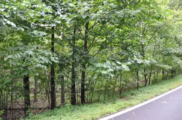 3461 Wild Pansy RDG, Big Canoe, GA 30143