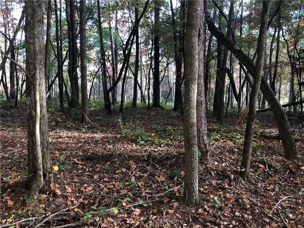 Ellijay, GA 30540,Lot 3 Sunset Cv