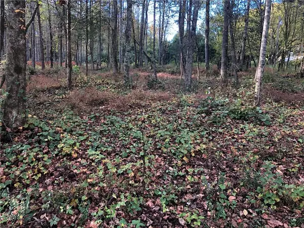 Ellijay, GA 30540,Lot 7 Sunset Cv