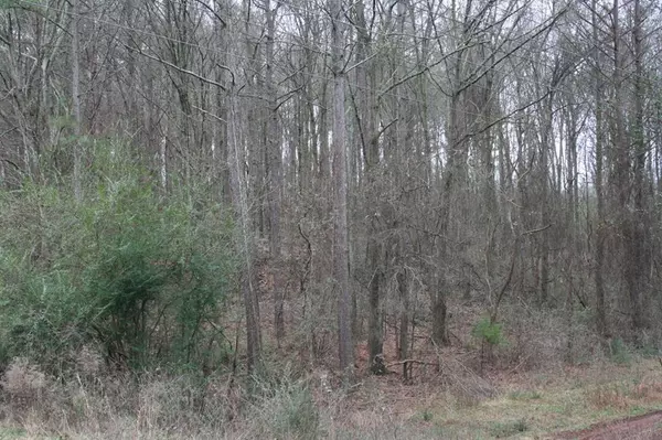 Elberton, GA 30635,0 Raccoon TRL