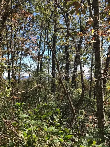 Lot 8 Huntington PL, Dahlonega, GA 30533