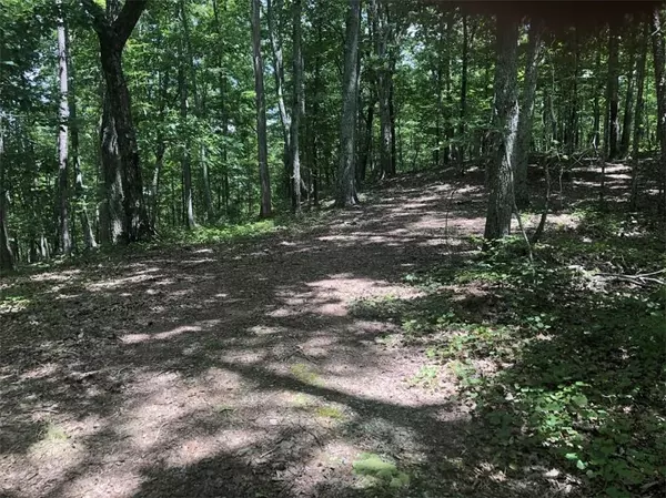 17 Acres on Everett Mountain RD, Rockmart, GA 30153