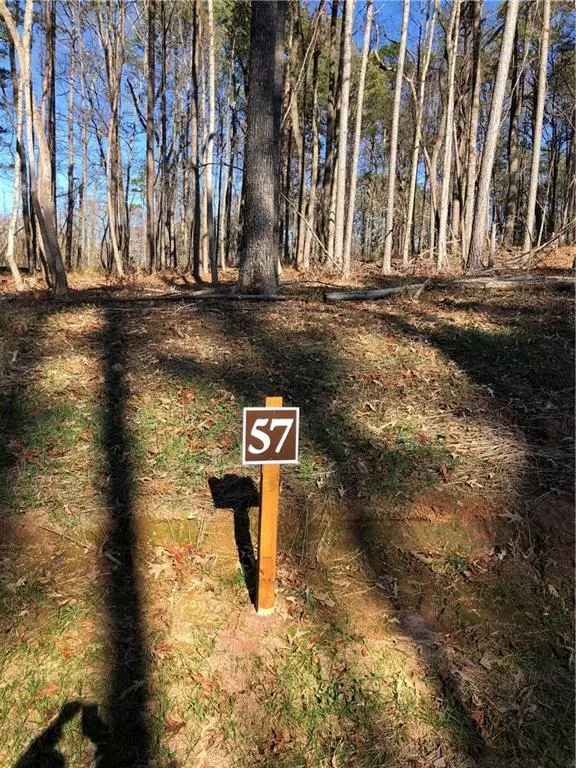 Ellijay, GA 30536,Lot 57 LINGER LONGER DR