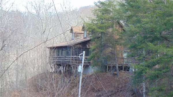 Ellijay, GA 30540,3726 Brushy Top DR