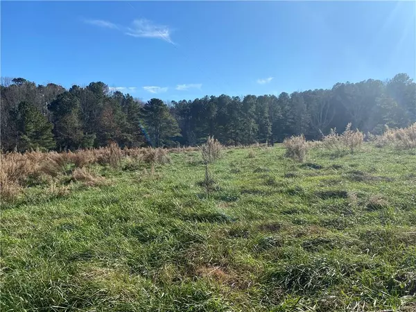 Milton, GA 30004,2135 Mountain RD