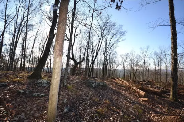 Dallas, GA 30132,000 Tibbitts