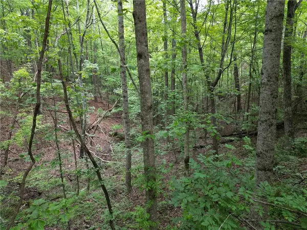 Ellijay, GA 30540,0 S Twin Oaks DR