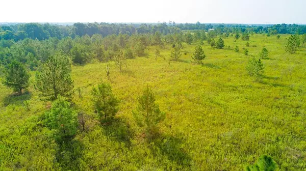 Ashburn, GA 31714,Lot 3 Giddens RD