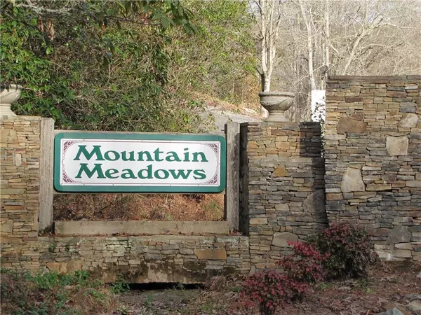 Ellijay, GA 30536,Lt 41 Squirrel Hunting RD