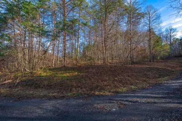 Mccaysville, GA 30555,Lot 67 Ashley DR