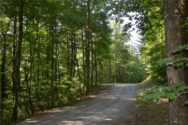 Ellijay, GA 30540,Lot 7 Mountain Falls Overlook