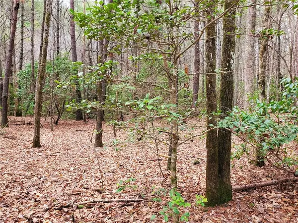 Blairsville, GA 30512,Lot 1 Tanner Cove RD