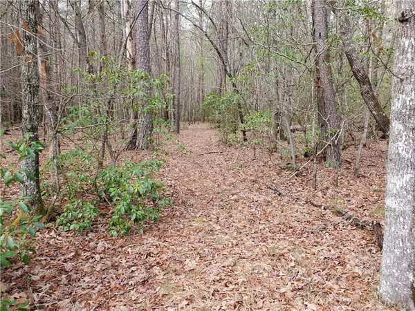 Blairsville, GA 30512,Lot 1 Tanner Cove RD