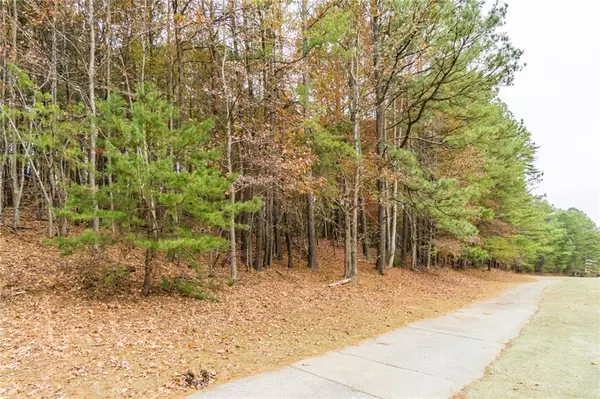 Waleska, GA 30183,142 Red Cloud DR
