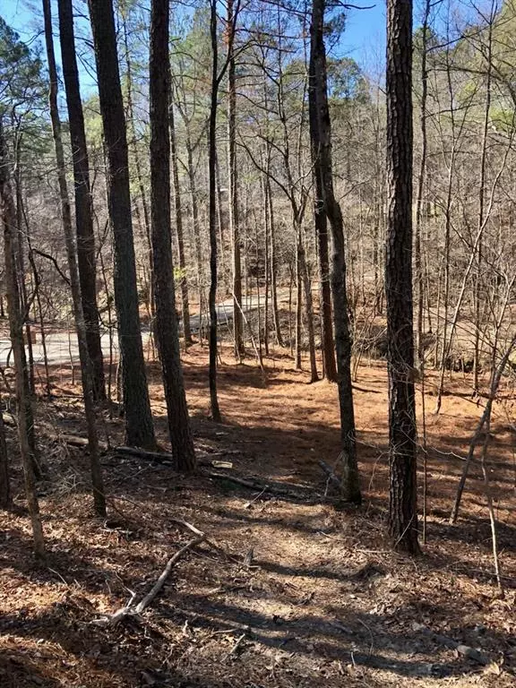 Dallas, GA 31032,61 Windcreek PATH