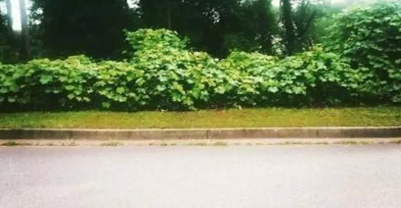 Atlanta, GA 30311,0 Lovell DR SW