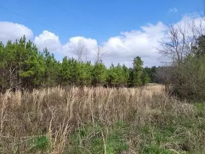 0 County Road 101, Other-alabama, AL 35960