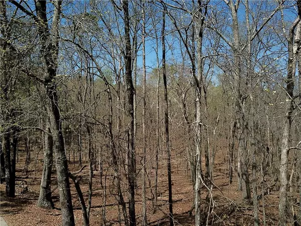 Winston, GA 30187,0 Old Berea RD