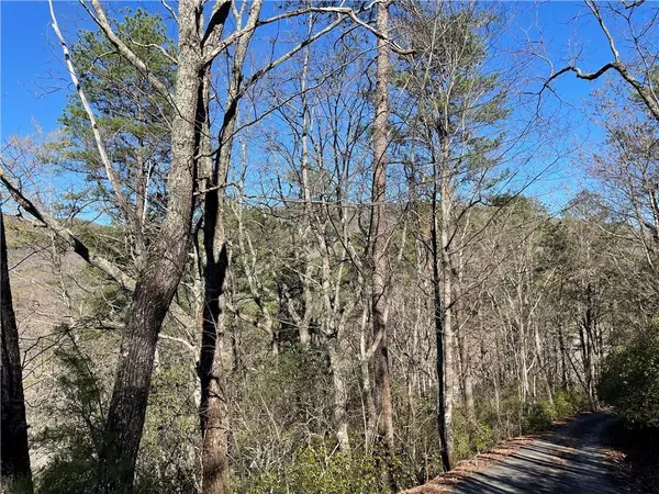 Clarkesville, GA 30523,0 Oakey Mountain RD