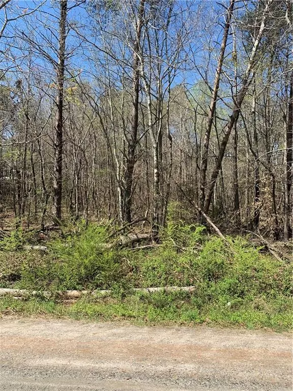 Dawsonville, GA 30534,Lot 8 Pine Needle DR