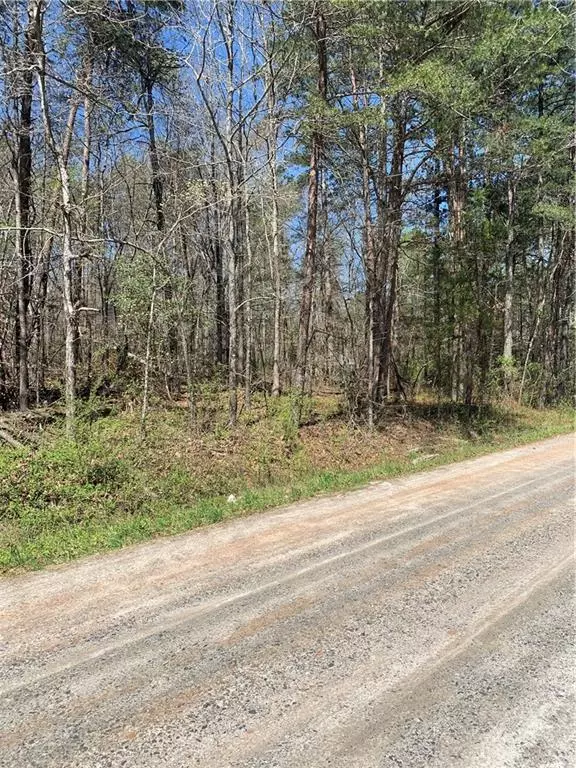 Dawsonville, GA 30534,Lot 8 Pine Needle DR