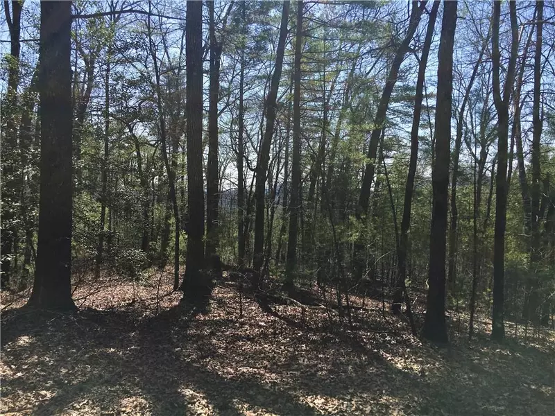 Lot 8 Baylaurel DR, Helen, GA 30545