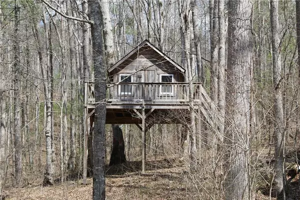Suches, GA 30572,485 Possum LN