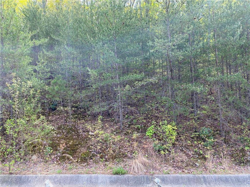 Jasper, GA 30143,296 Ridgeside CT