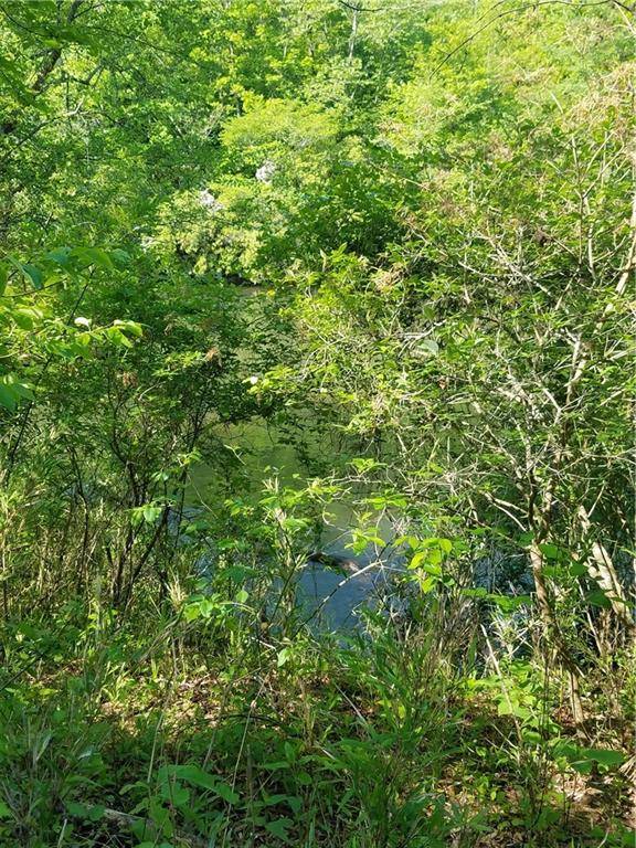 Demorest, GA 30535,0 Windy River CT